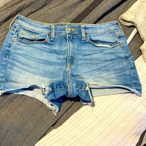 Medium Wash Stretch Shorts